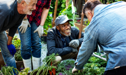 Un grupo de personas sonriendo en un jardín.