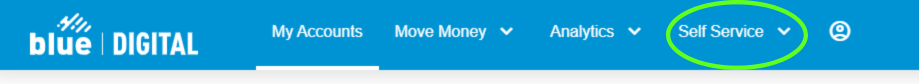 Blue Digital navigation bar with a green circle around "Self Service"